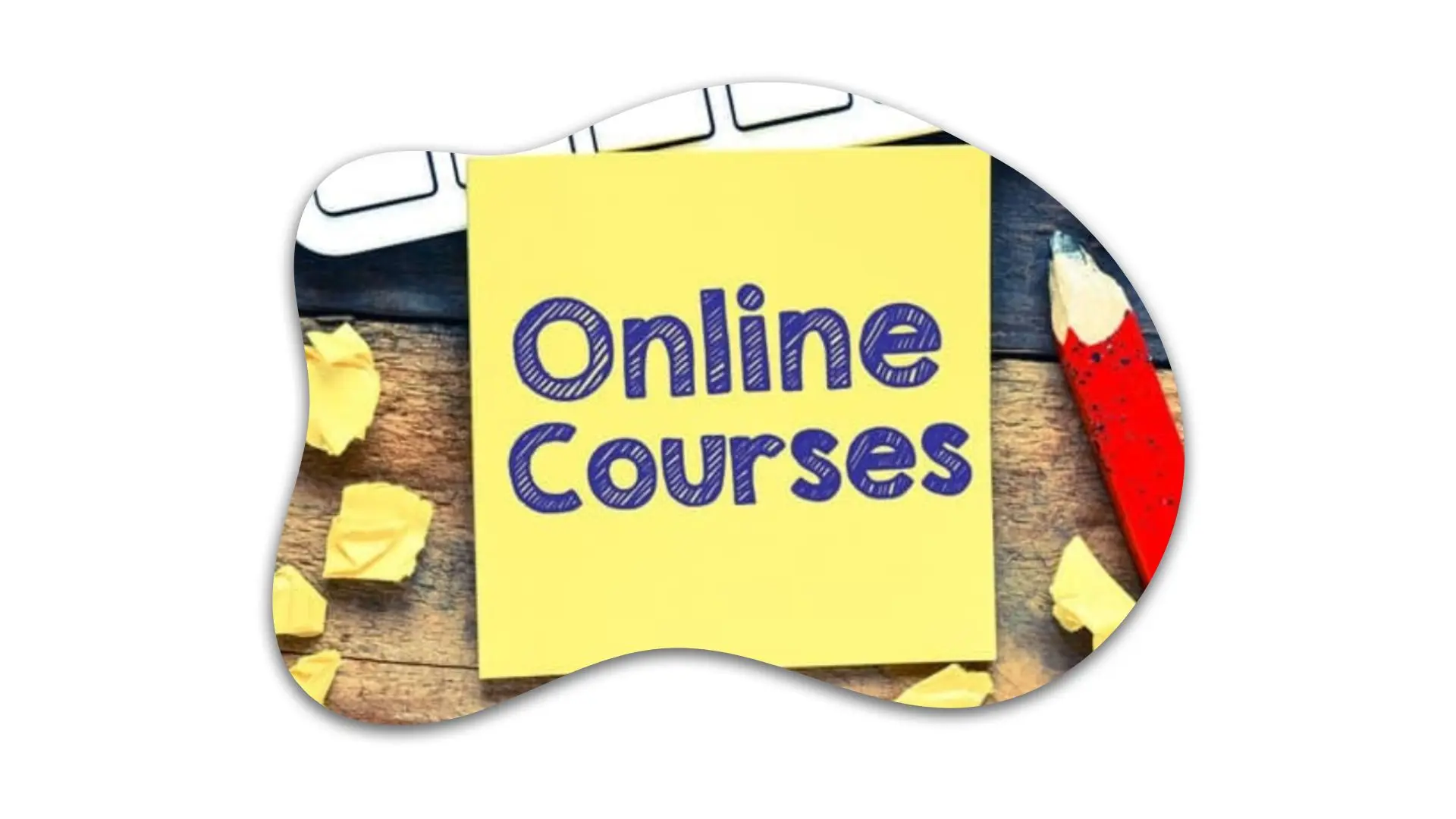 Orkid Language Academy